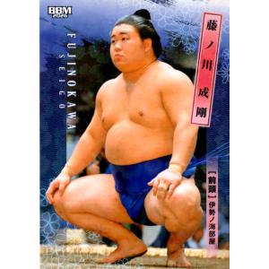 mintkashii_26sumo-para-030