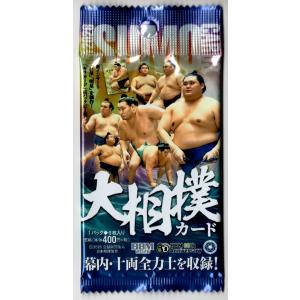 その他パック 2026 BBM 大相撲カード