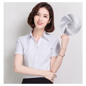 襟付き Tシャツ レディースの商品一覧 通販 Yahoo ショッピング