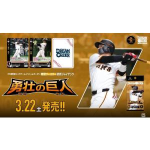 ブシロード プロ野球カードゲーム DREAM ORDER ドリームオーダー ブシロード プロ野球カードゲーム DREAM ORDER ドリームオーダー