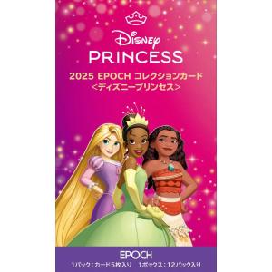 エポック社 Disney創立100周年 2023 EPOCH PREMIER EDITION エポック社 Disney創立100周年 2023 EPOCH PREMIER EDITION