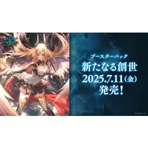 ブシロード 【未開封カートン】Shadowverse EVOLVE ブースター ブシロード 【未開封カートン】Shadowverse EVOLVE ブースター