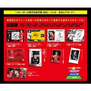 バレーボール男子日本代表 2025 トレーディ...の詳細画像3