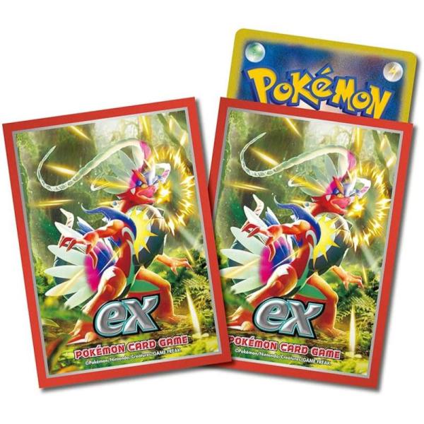 ポケモンカードゲーム デッキシールド「コライドン」[64枚入り][1個]