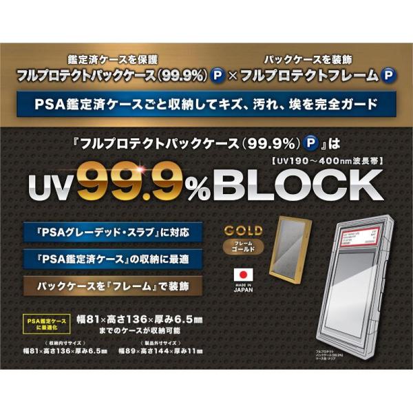 カワシマ フルプロテクトパックケース・プラスP(ゴールドフレームセット)[1個]