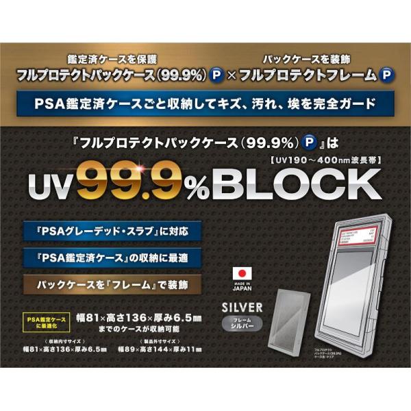 カワシマ フルプロテクトパックケース・プラスP(シルバーフレームセット)[1個]