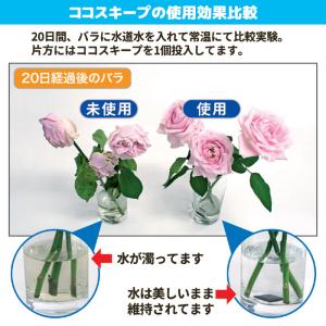 切り花 延命剤 ココスキープ 12個入 切花長...の詳細画像2