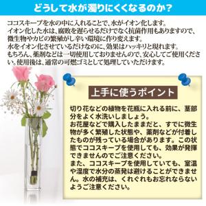 切り花 延命剤 ココスキープ 12個入 切花長...の詳細画像3