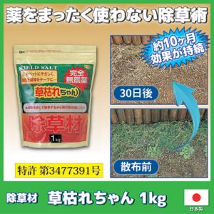 除草剤 無農薬 安全 除草材 草枯れちゃん 1kg　除草 雑草駆除 雑草 農耕地 墓地