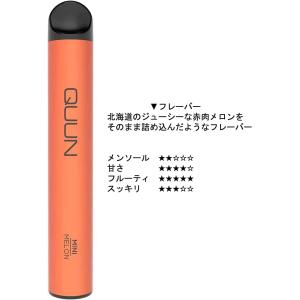 ( 正規店 ) QUUN 持ち運び ポケット ...の詳細画像1