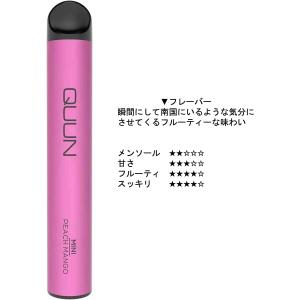 ( 正規店 ) QUUN 持ち運び ポケット ...の詳細画像1