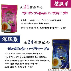 エステプロラボ ハーブティープロ 健康茶 選べ...の詳細画像3