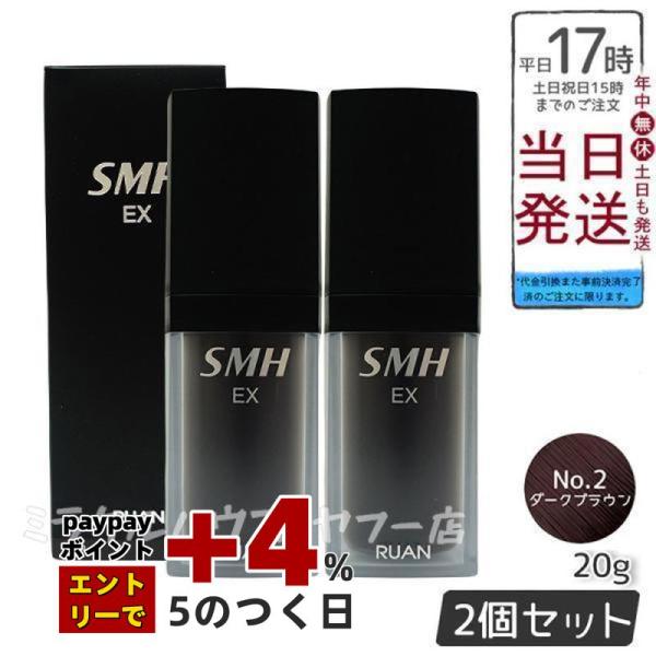 ルアン スーパーミリオンヘアーEX 20g No.2ダークブラウン 2個セット ボリューム ふりかけ...