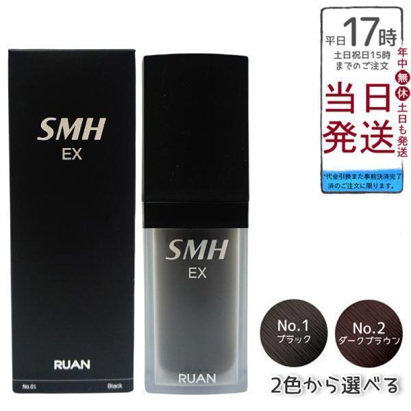 ルアン スーパーミリオンヘアーEX 20g No.1 ブラック No.2ダークブラウン ボリューム ...