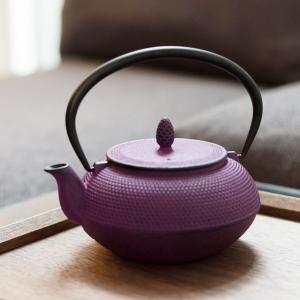 南部鉄器 カラー急須 TEAPOT 霰 ARARE 0.6L ティーポット 4色  和色 やかん ケトル モダン roji RA 50-20 TU WHG NPR RP｜MIRAGE-STYLE