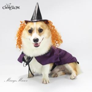 仮装 魔女 犬用品 の商品一覧 ペット用品 生き物 通販 Yahoo ショッピング