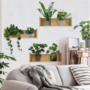 ウォールステッカー 葉 植物 北欧 おしゃれ ...の詳細画像4