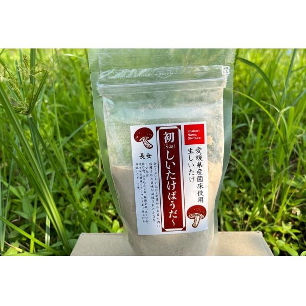 初（うぶ）しいたけぱうだー　単品  30g 国産しいたけ粉末100％