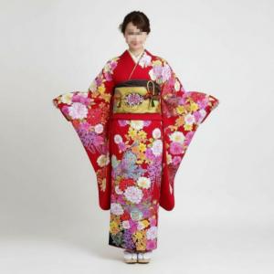 振袖 正絹 訳有 試着品 白黒地に鶴 フランソワーズ・モレシャン 034P