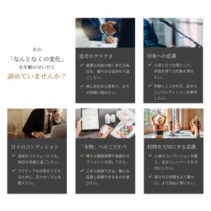 12個セット | MIRAI LAB ミライラ...の詳細画像5