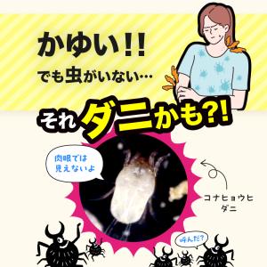 2個セット 捕獲力2倍アップ さよならダニーD...の詳細画像2