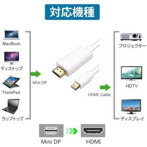Mini DisplayPort to HDM...の詳細画像4