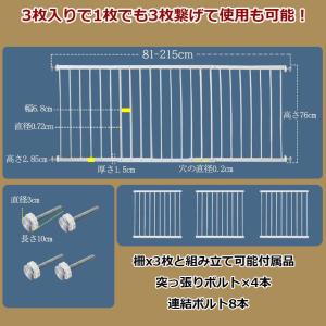 転落防止柵 パーツのみ 転落防止 窓 ベビーガ...の詳細画像2