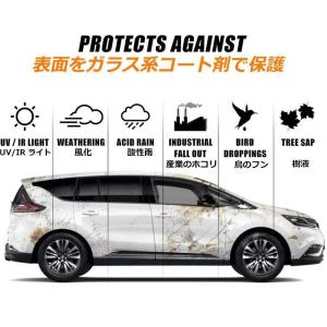 ガラスコーティング剤 ガラスコーティング 液体...の詳細画像3
