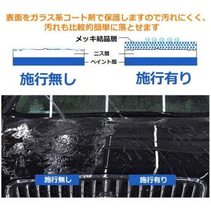 ガラスコーティング剤 ガラスコーティング 液体...の詳細画像4