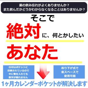 カレンダーポケット ウォールポケット 1ヶ月 ...の詳細画像2