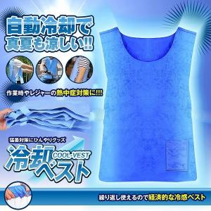 冷却ベスト 水冷 クールベスト  冷感ベスト 空調服 物理冷却 熱中症 猛暑対策 冷却服 ひんやりグッズ 保冷 工事現場 工場内 暑さ対策 夏用 送料無料