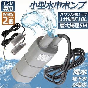 2個セット 水中ポンプ 小型 12V 揚程5m 汲み上げ 11000rpm 洗車 釣り