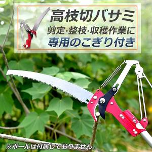 【未使用品】ニシガキ工業　高枝切りバサミセット　植栽　剪定　果実採取 ニシガキ工業 高枝切りバサミ 高枝剪定ばさみ 高枝ノコギリ のびのこ