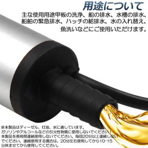 水中ポンプ 12V 24V 小型 ウォーターポ...の詳細画像5