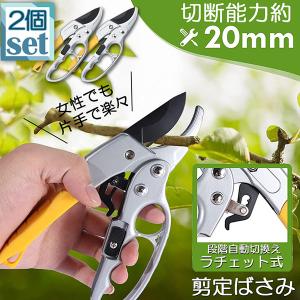 剪定ばさみ ラチェット式 2個セット 剪定鋏 園...の商品画像