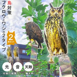 藤原産業 セフティー3 パニックふくろう2 眼に用心 鳥よけ STYF-4 ( 1