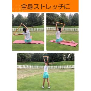 ゴルフスイング ゴルフ ゴルフ練習器具 スティ...の詳細画像5