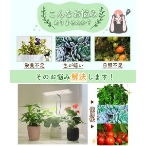 植物育成ライト 2個セット 3モード 10段階...の詳細画像2