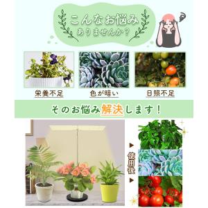 台座付き植物育成ライト 3モード 10段階 調...の詳細画像3