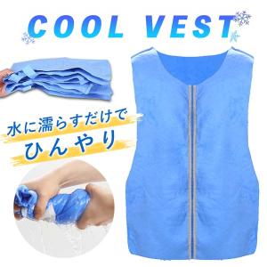 冷却ベスト クールベスト 冷感ベスト 冷却 熱中症 猛暑対策 冷却服 ひんやりグッズ 工事現場 工場内 屋外 スポーツ 冷感 涼しい 保冷服 農業 屋