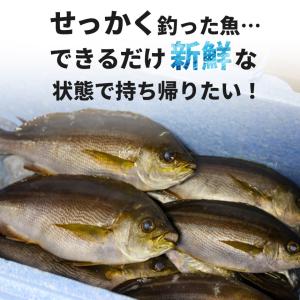 フローティングスカリ 22L 折り畳み スカリ...の詳細画像2