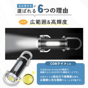 2個セット キーホルダーライト カラビナ付き ...の詳細画像4