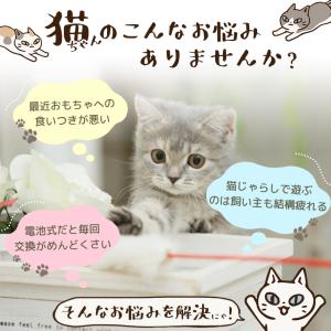 猫 おもちゃ 猫じゃらし ポインター ポインタ...の詳細画像2