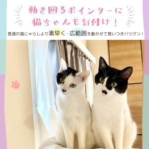 猫 おもちゃ 猫じゃらし ポインター ポインタ...の詳細画像4