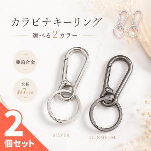 2個セット キーホルダー カラビナ キーリング 亜鉛合金 ナスカン フック シルバー ブラック ガンメタル 選べる2カラー 鍵 車 バイク バッグ ベ