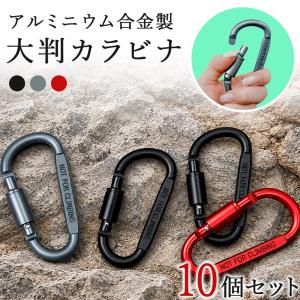 10個セット カラビナ D型 ネジロック付き ...の詳細画像1