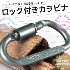10個セット カラビナ D型 ネジロック付き ...の詳細画像2