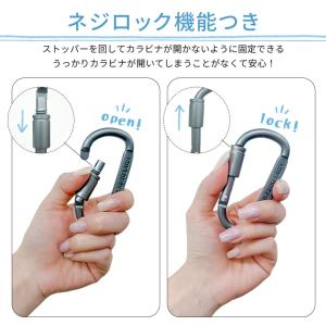 10個セット カラビナ D型 ネジロック付き ...の詳細画像3