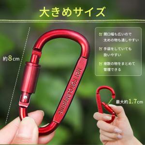 10個セット カラビナ D型 ネジロック付き ...の詳細画像4