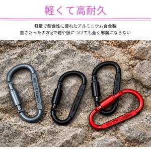10個セット カラビナ D型 ネジロック付き ...の詳細画像5